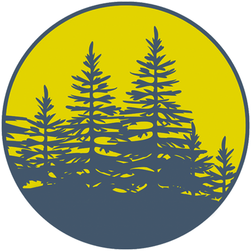 Midnight Spruce Pine